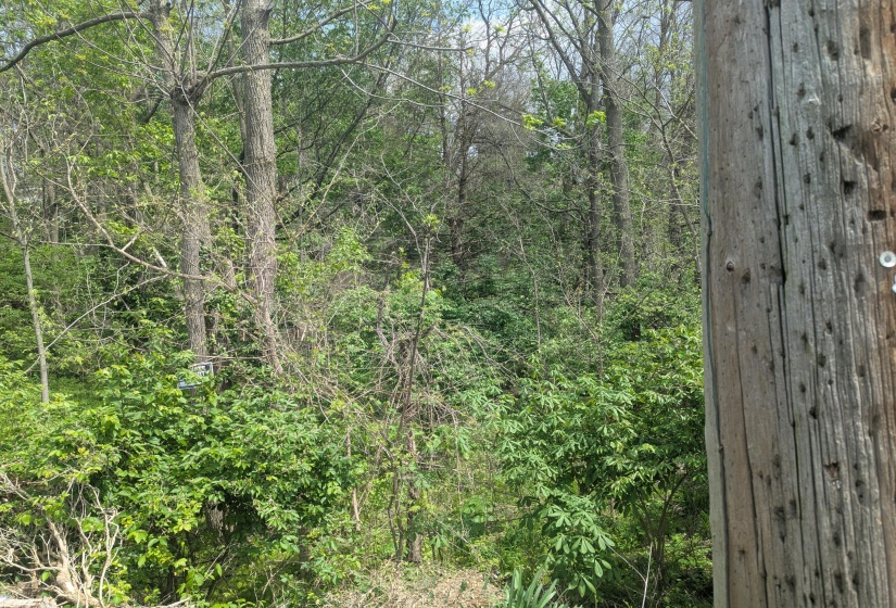 PXL_20250502_182035287
