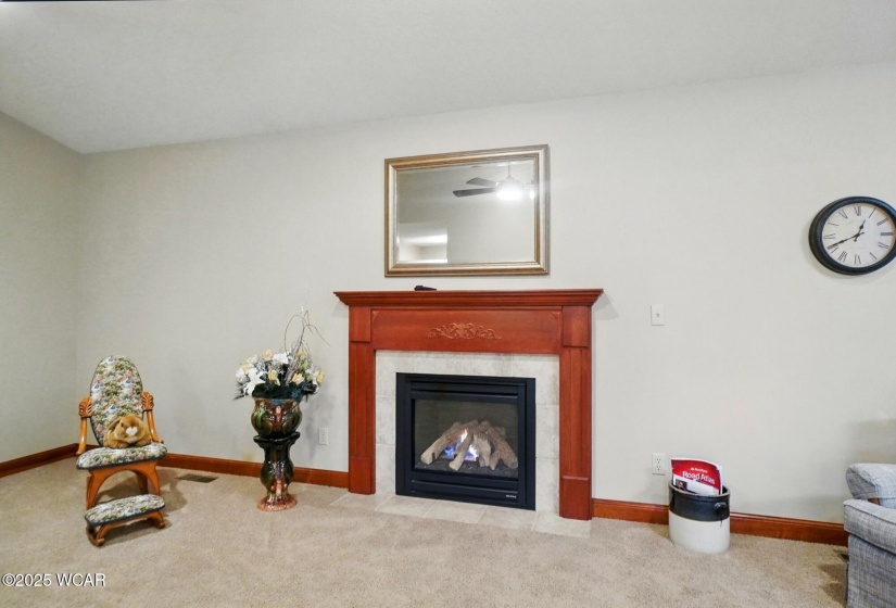 Gas Fireplace in Living Room