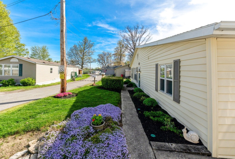 11172 Newland Dr (Exterior)-6