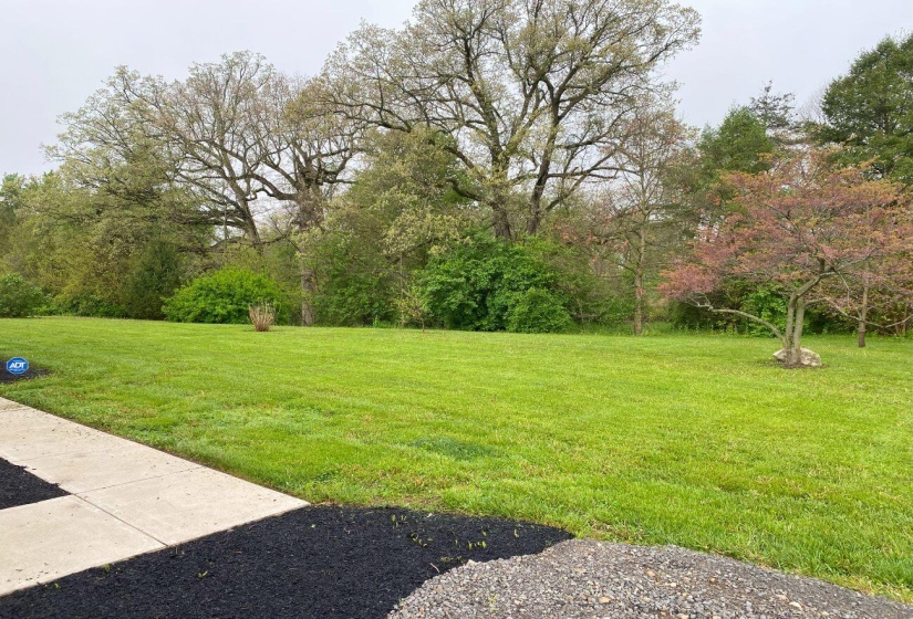2025-05-05 08.33.40