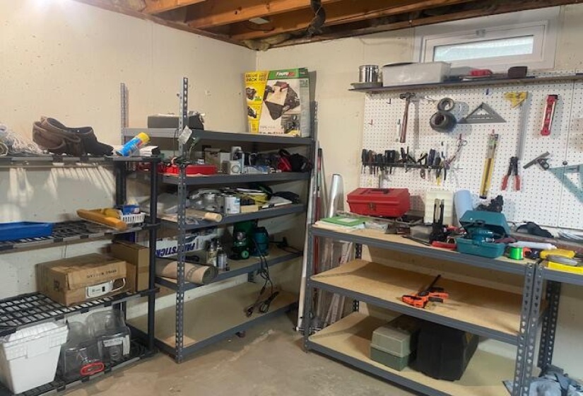 Basement Workshop
