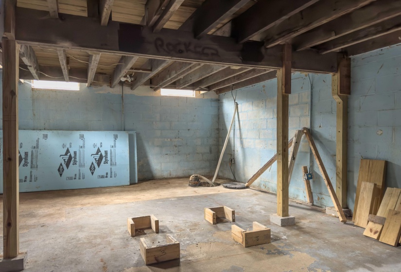 Basement in Garage