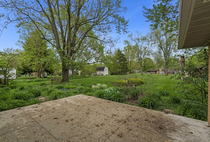 37-web-or-mls-DSC09403
