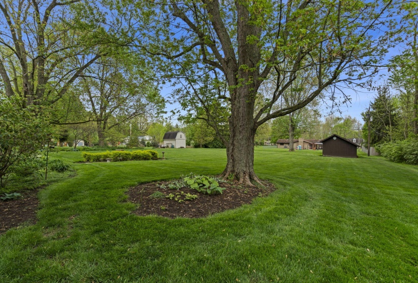 39-web-or-mls-DSC09388