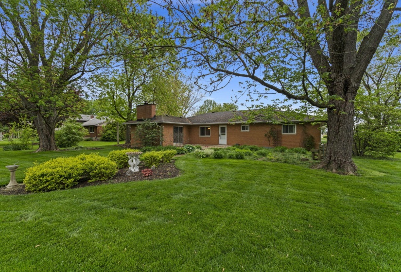 42-web-or-mls-DSC09397