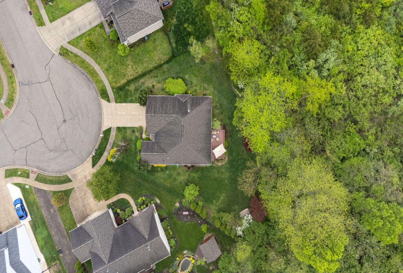 DJI_0597