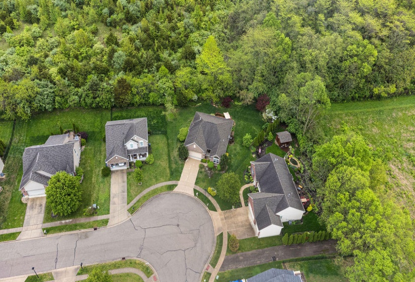 DJI_0598