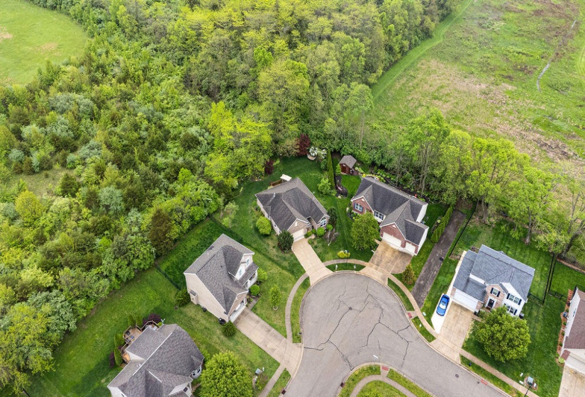 DJI_0599