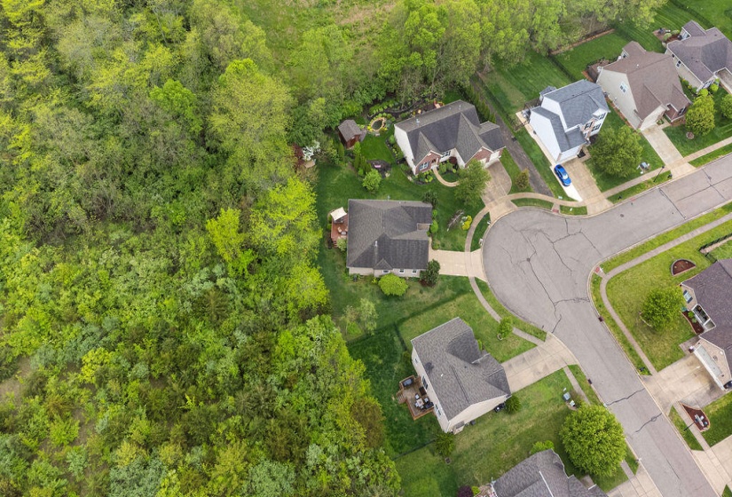DJI_0600