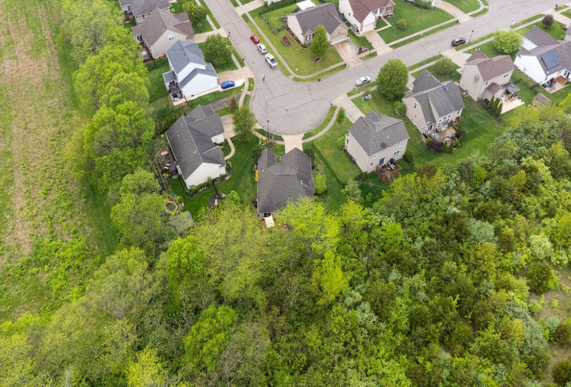 DJI_0601