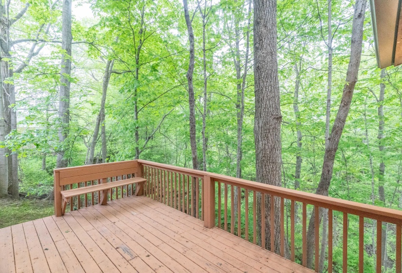 1406 Westwood, Sidney-48