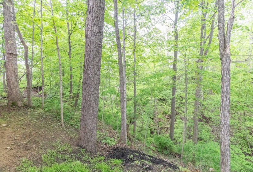 1406 Westwood, Sidney-45