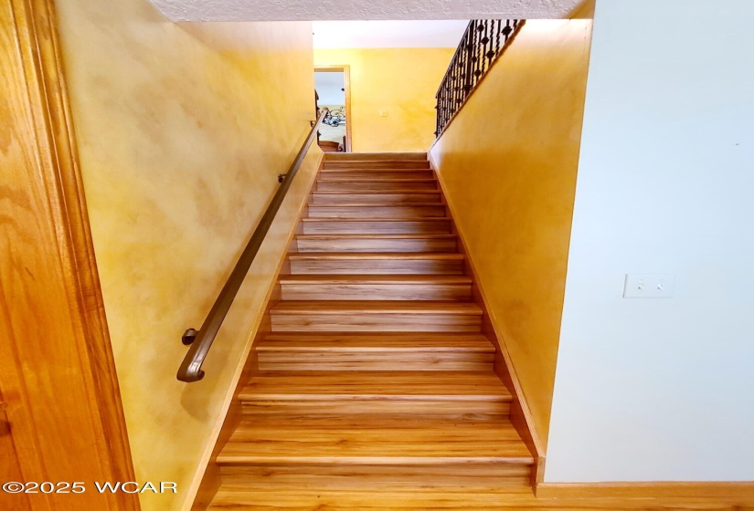 Steps leading back up to the Living room.