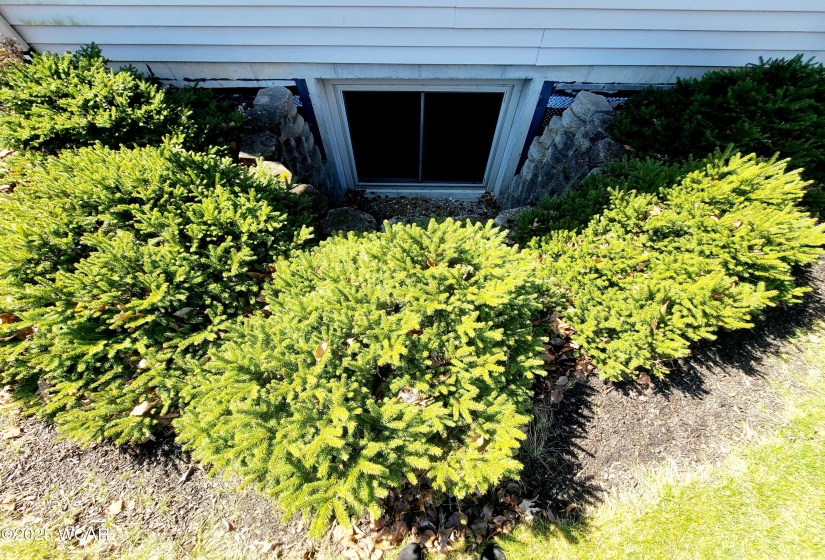One of two egress windows.