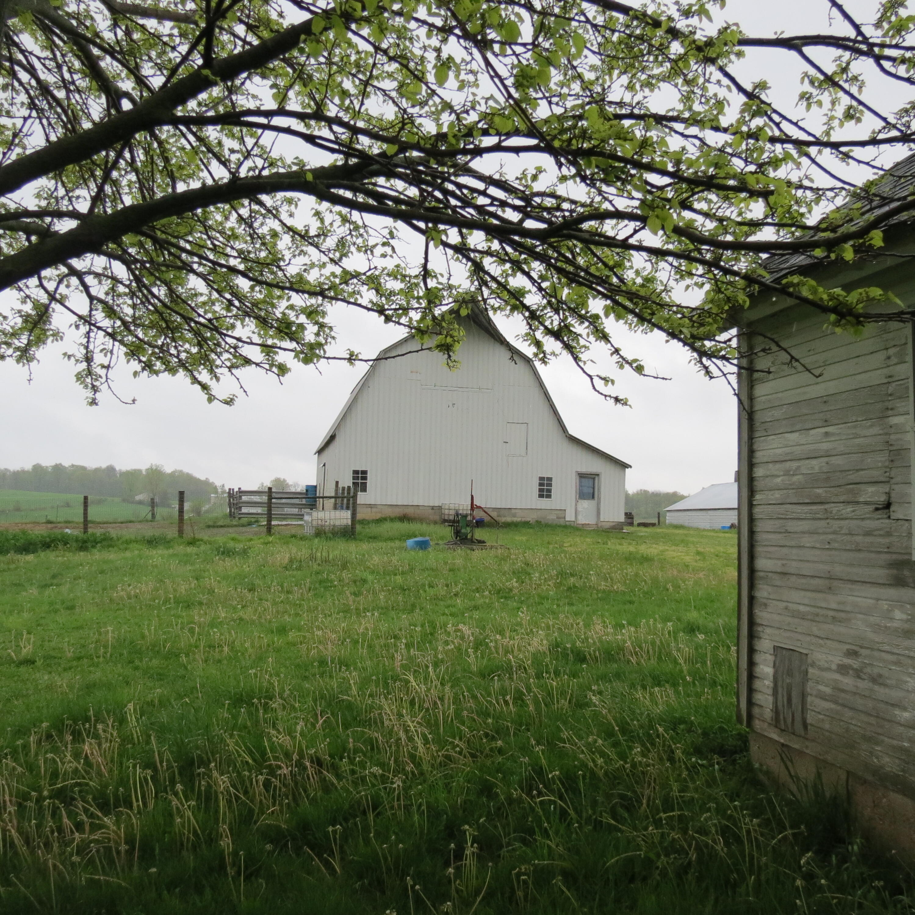 7781 County Road 13, De Graff, Ohio 43318
