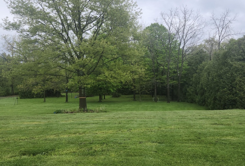 back yard area