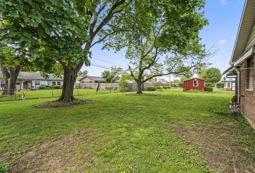 35-web-or-mls-DSC00124