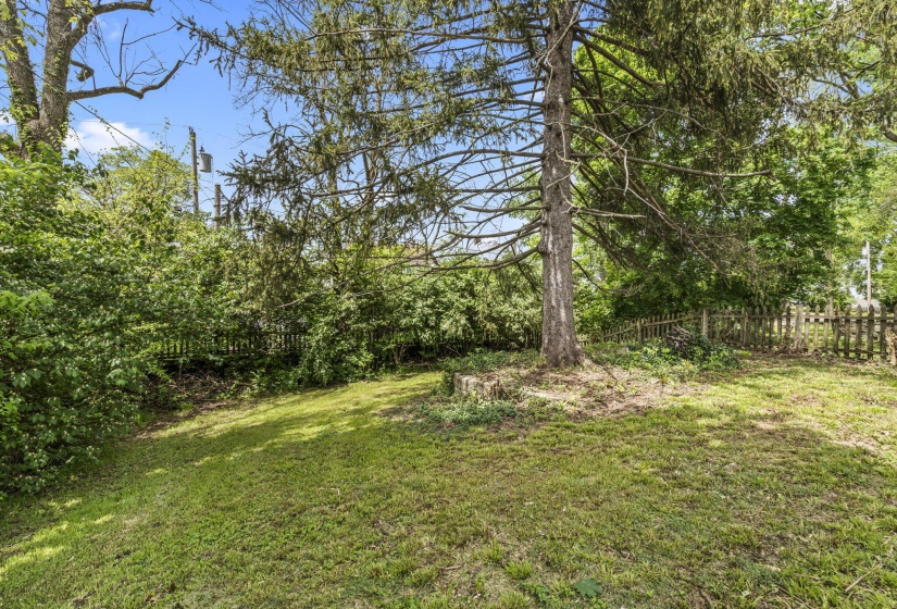 59-web-or-mls-DSC09974