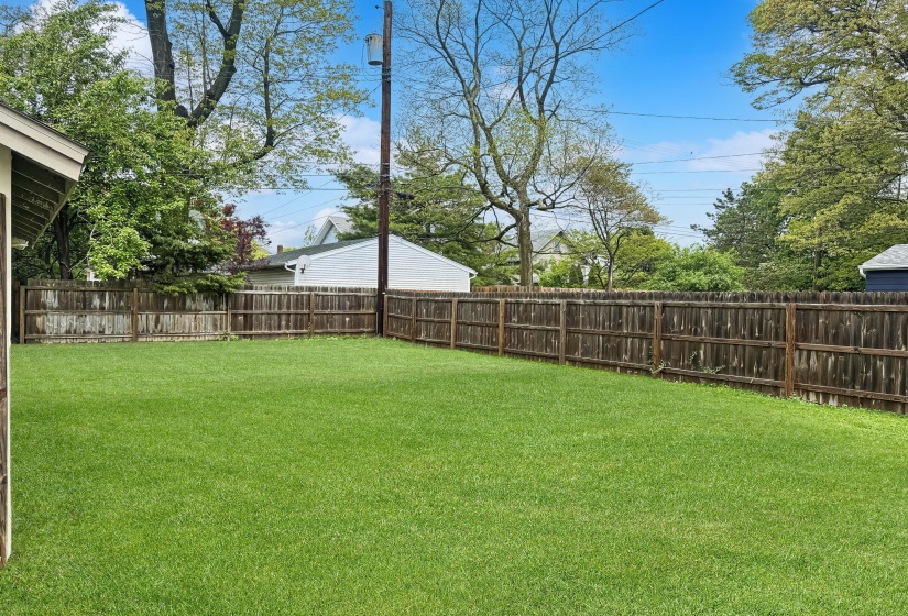 View of the Yard