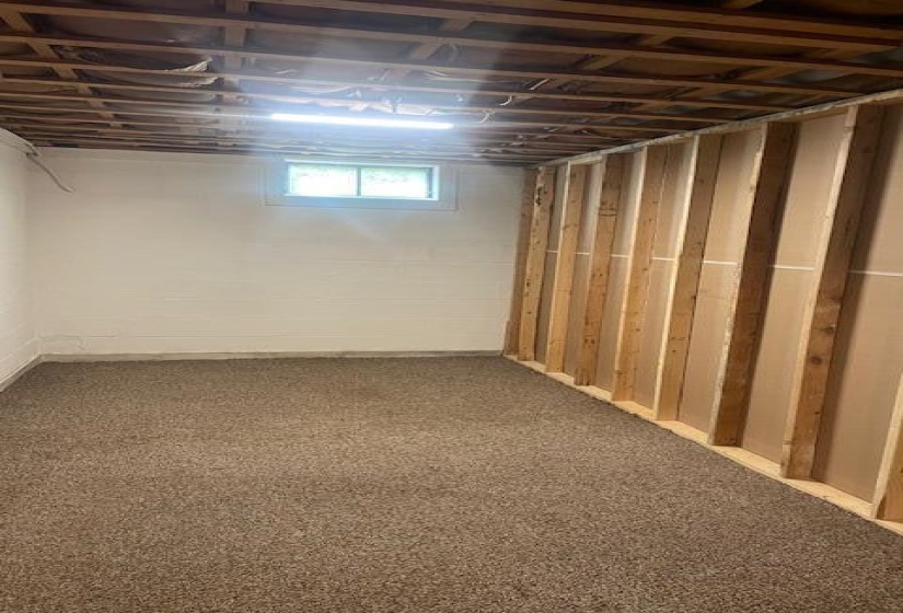 FLEX ROOM IN BASEMENT