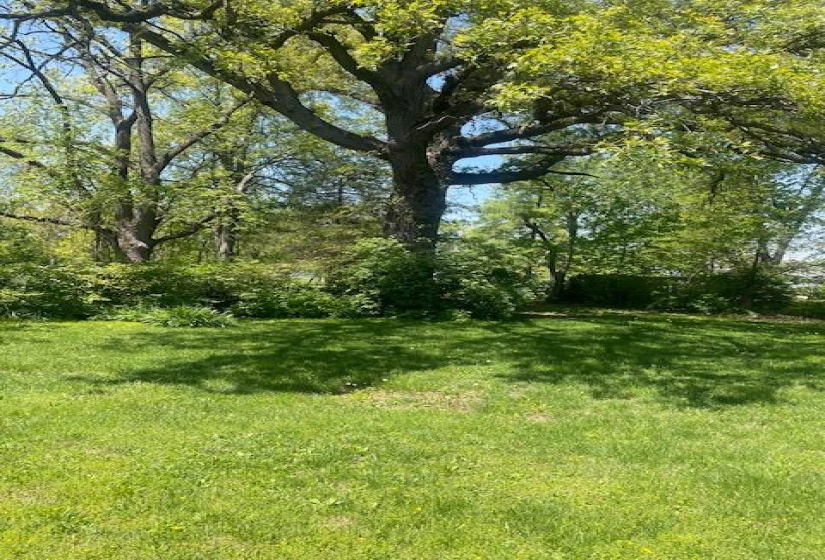 KENILWORTH LOT VIEW (1)