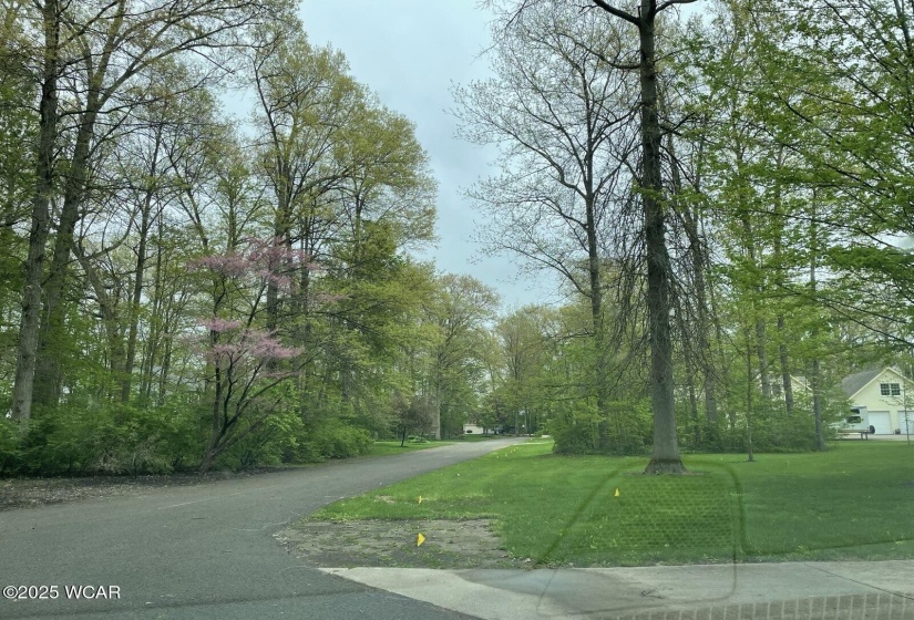 Streetview