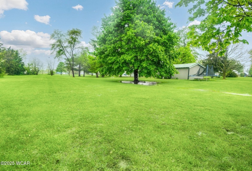 1805 Blaine Street, Findlay, Ohio, 3 Bedrooms Bedrooms, ,1 BathroomBathrooms,Residential,For Sale,Blaine,307051