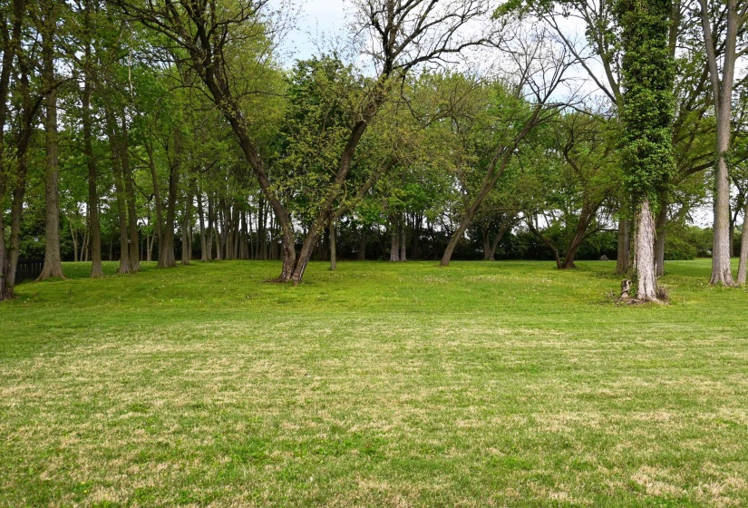 Image00015