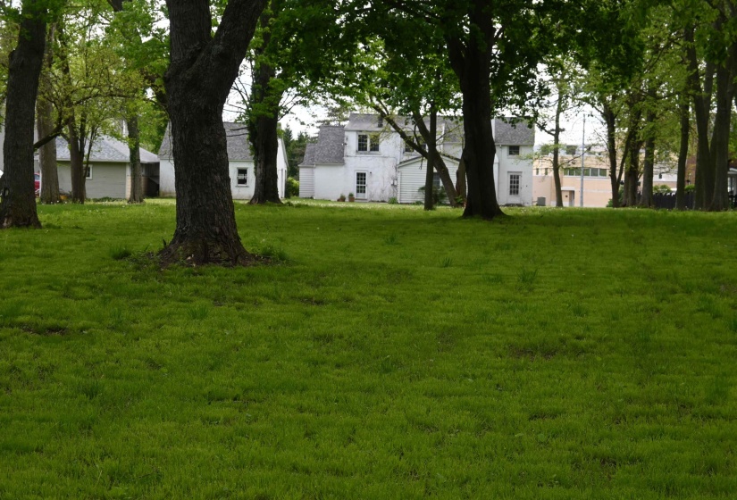 Image00016