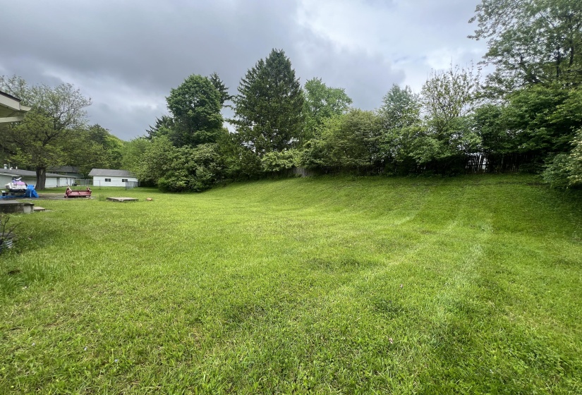 Rear Yard