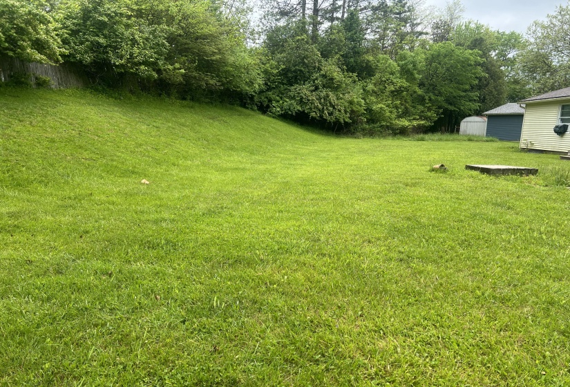 Rear Yard