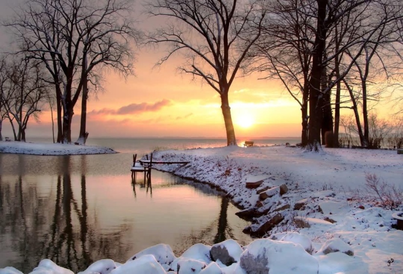 Winter beauty