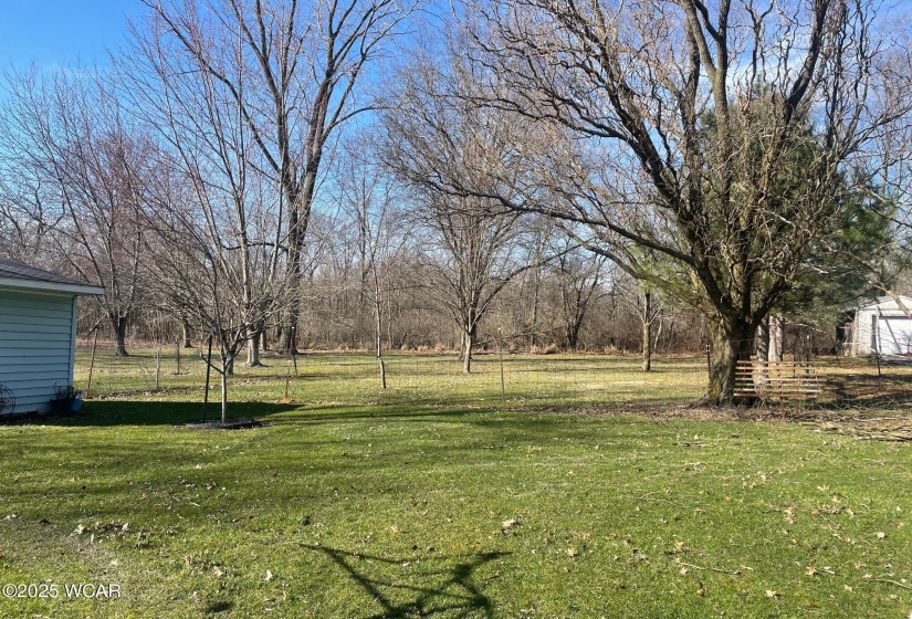 yard