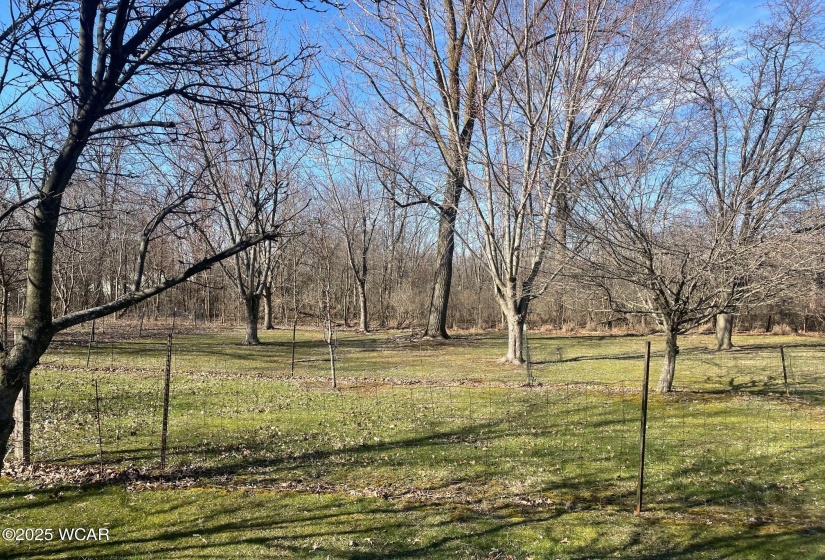 yard