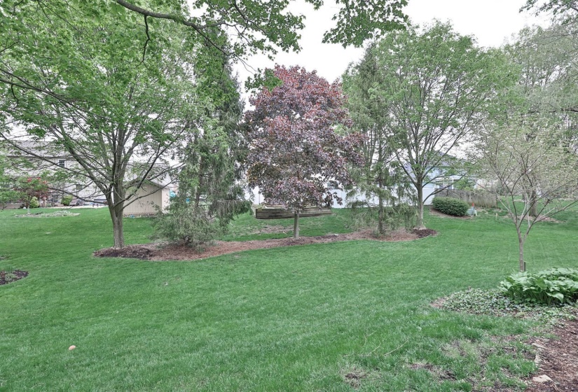 048-Yard
