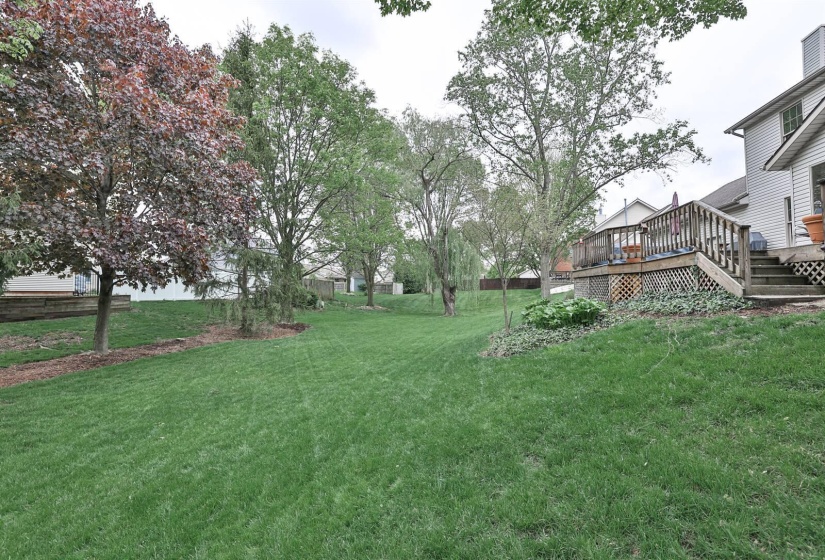 049-Yard-2