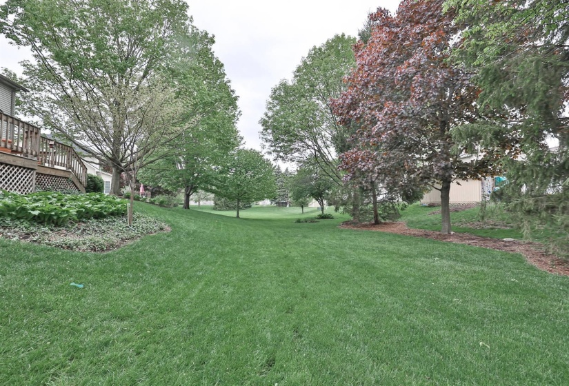 050-Yard-3