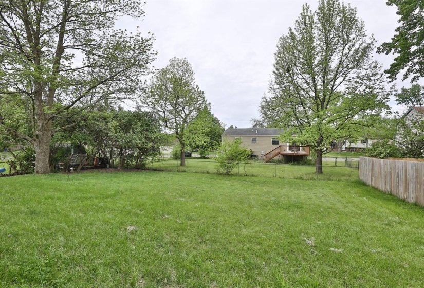 035-Yard
