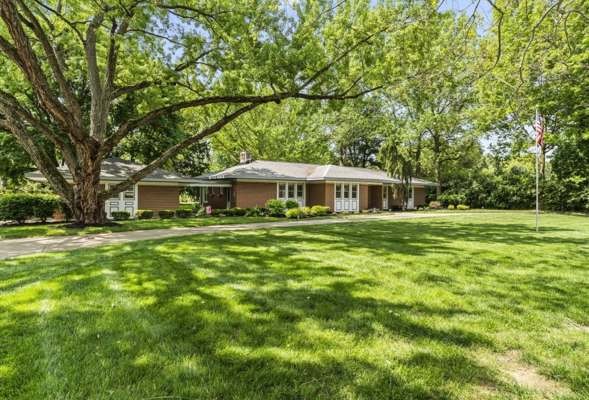 2-web-or-mls-DSC03269