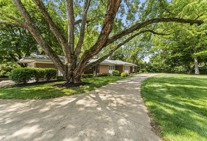 7-web-or-mls-DSC03284