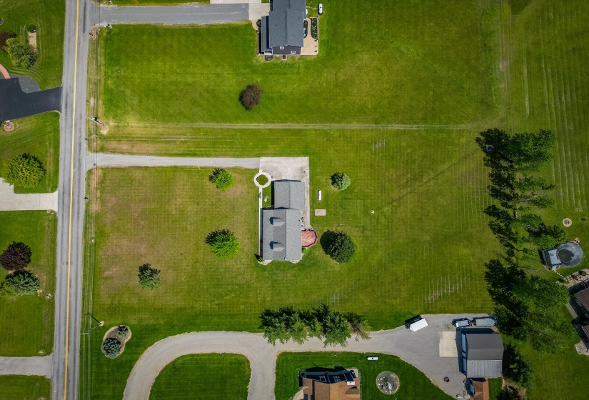 aerial