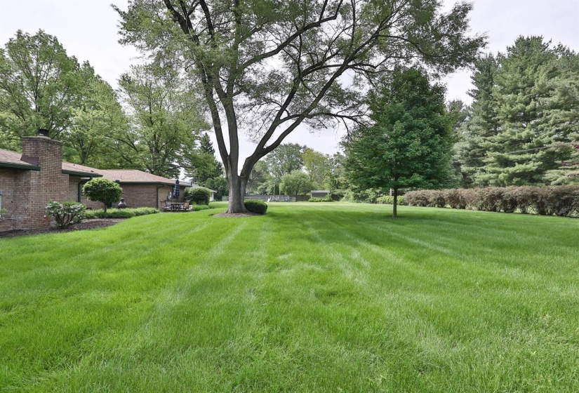 032-Yard