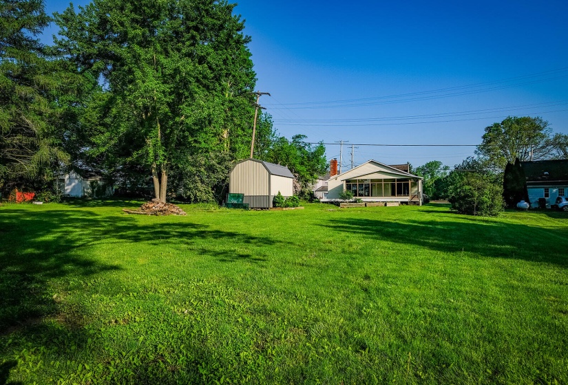 back yard