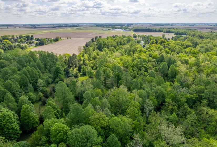 DJI_0308-HDR