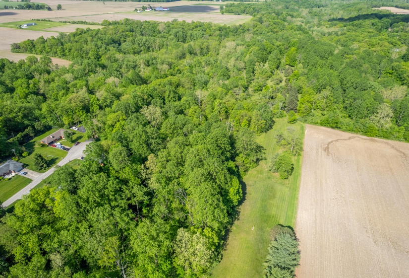 DJI_0299-HDR