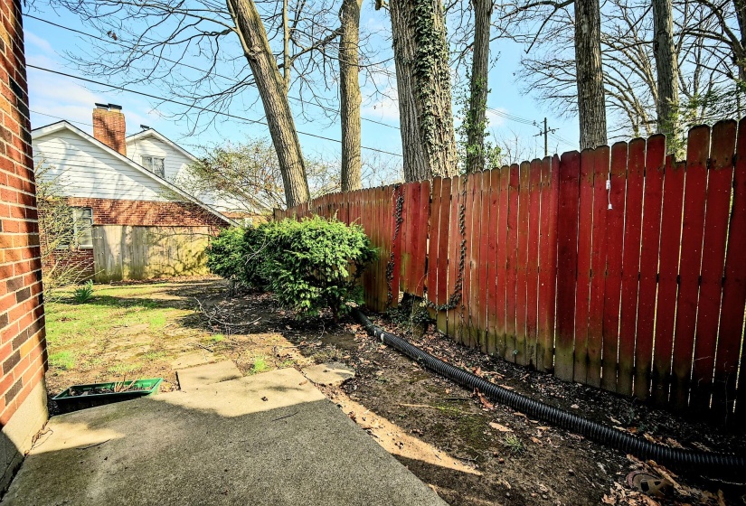 Back yard