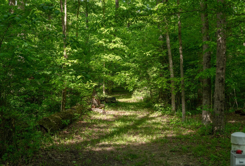 4559 Baker Rd 55