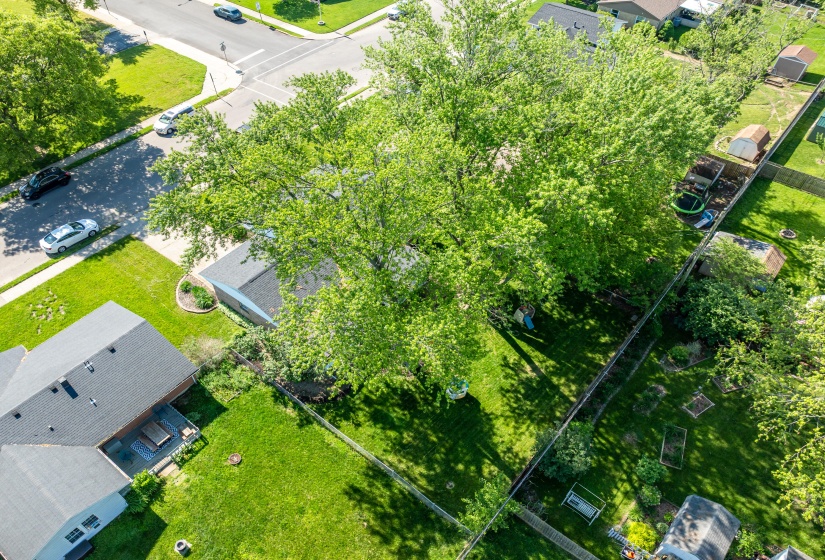 730 Maplecrest AIR 4