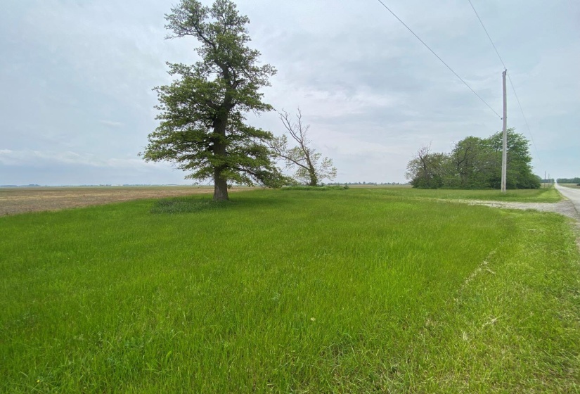 Crawford Rd. Old Home Site 1