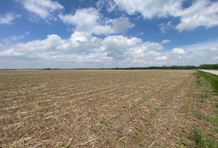 Old Troy Pike Road View